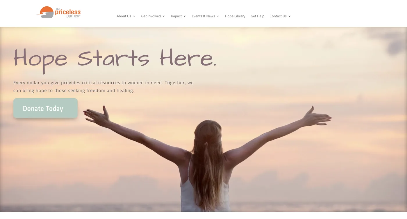 Old WordPress site for The Priceless Journey before the rebuild